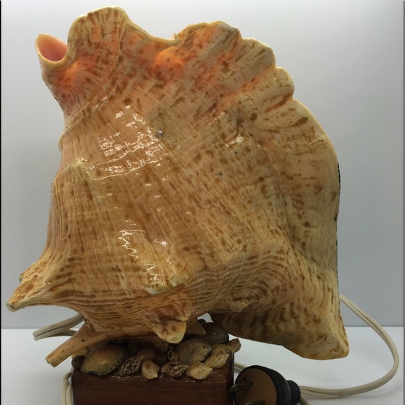 CONCH SHELL LIGHT HandPainted TIKI Bar Post WWII VERY RARE Vintage Working Lite! - Picture 3 of 16